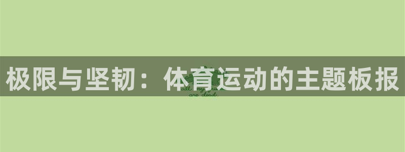 极限与坚韧：体育运动的主题板报
