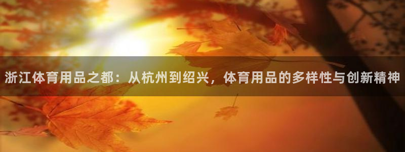 浙江体育用品之都：从杭州到绍兴，体育用品的多样性与创新精神